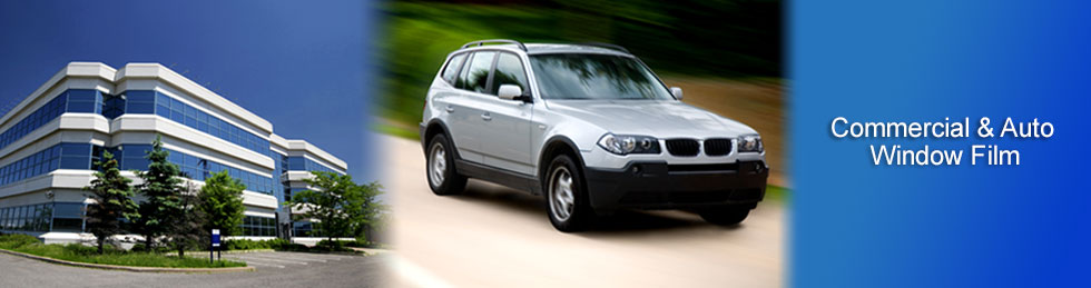 Window Tint